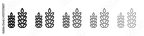 Wheat icon graphic set. trendy stroke line style