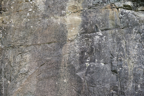 Rock texture with moss and lichens, close-up.