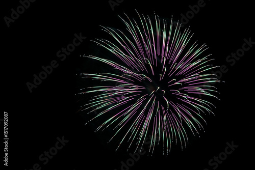 A single purple and green firework burst on a black sky