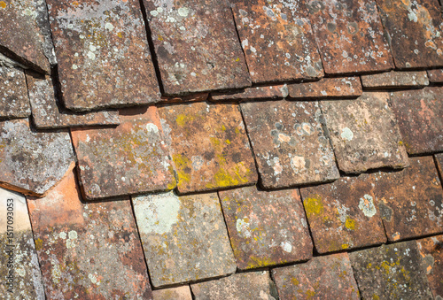 Old redish roof tiles with moss and lichen