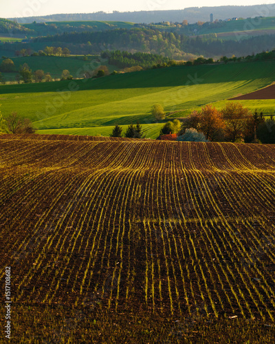 Plowed agricultural field with neat rows leading to a farmhouse and trees, set against rolling hills and a cloudy sky

