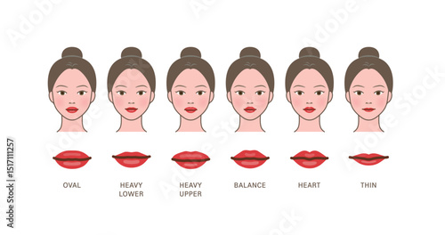 Various(different) types of lip shapes