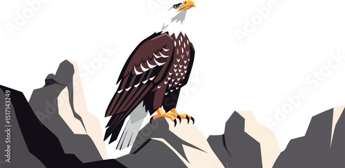 Bald eagle perched on rocks natural wildlife bird of prey illustration 