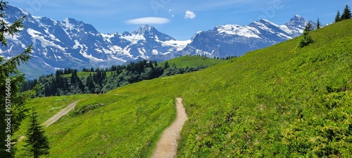mountain landscape in summer