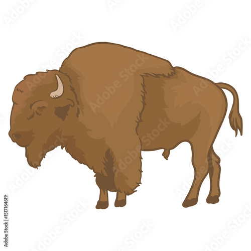 Male byson in yellowstone national park in vector and separate formats
