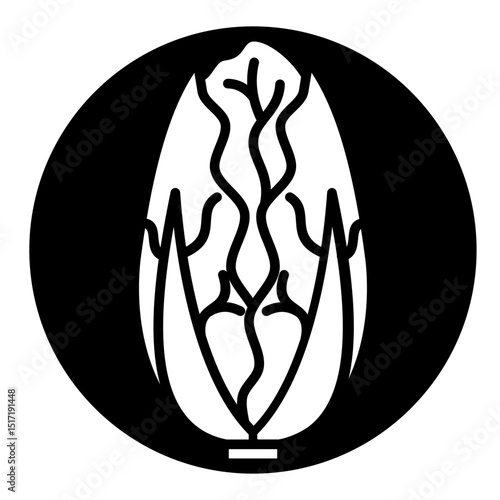 napa cabbage icon	