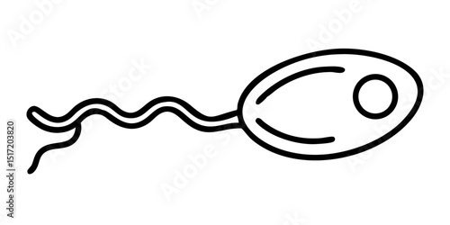 minimalist linear drawing of a sperm cell – symbol of men's health