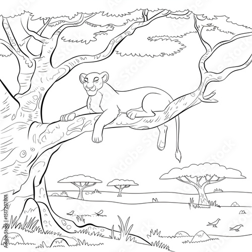 Line art lioness one the coloring page 