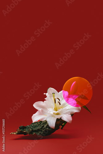 Still life with flower