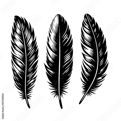 Clean black and white vector silhouette
