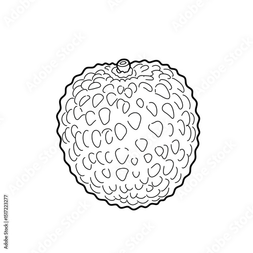 Detailed Lychee Fruit Outline with Textured Peel and Stem Detail