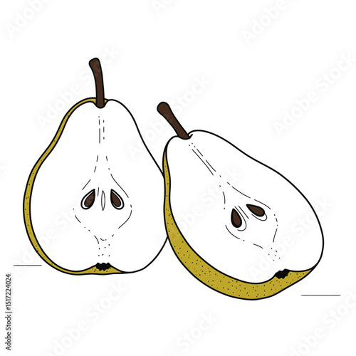 Two Halved Pears Detailed Illustration with Brown Stems and Seeds