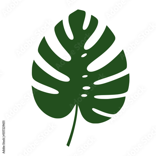A large, broad green leaf, representing nature, foliage, plants, or organic elements