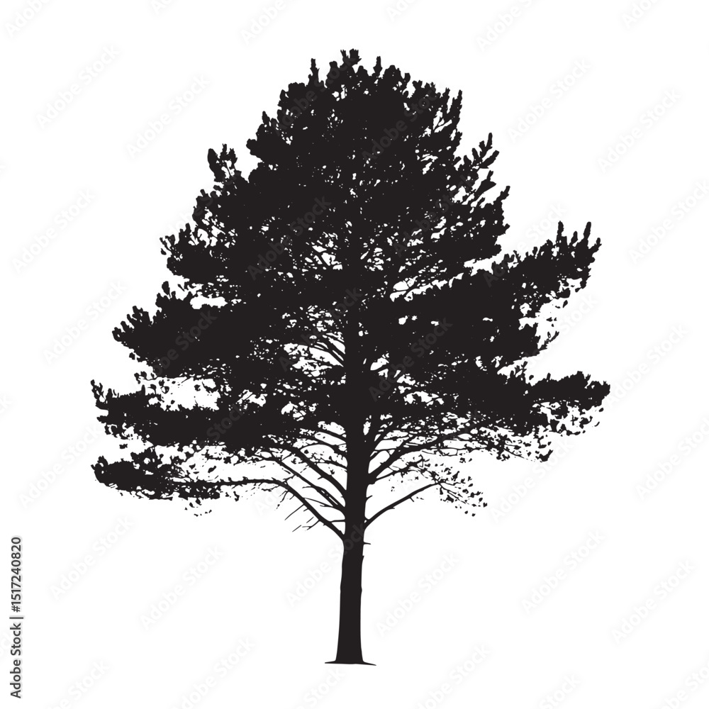 Fototapeta premium Dramatic Pine Tree Vector