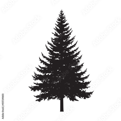 Forest Outline Pine Tree Silhouette