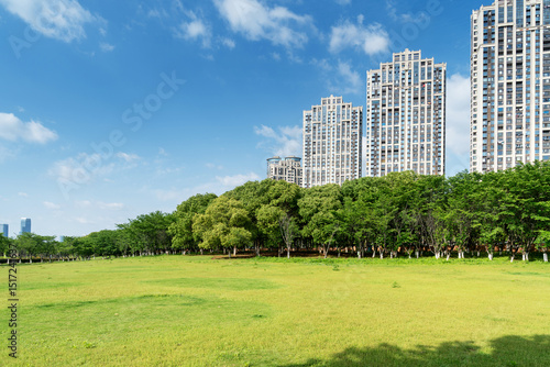 Photography city park with modern building background in shanghai