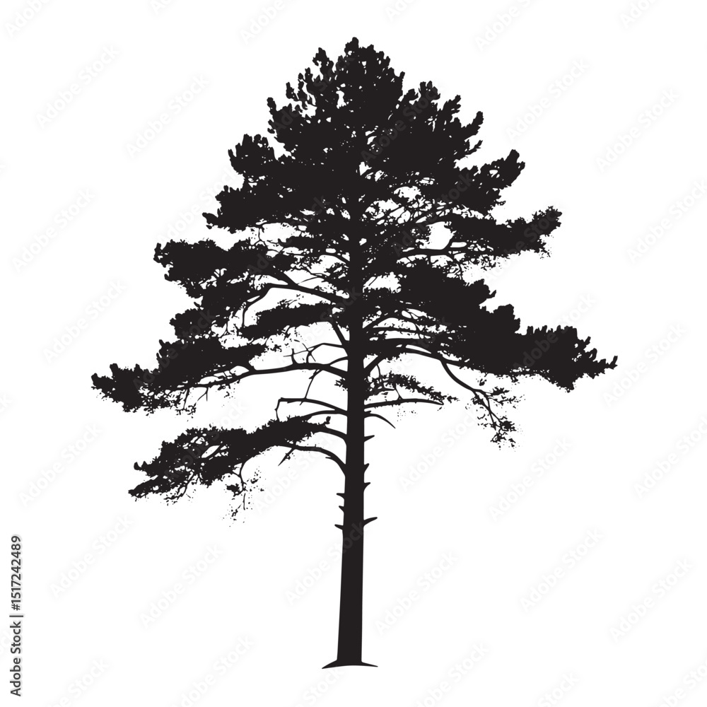 Obraz premium High Contrast Pine Tree Illustration