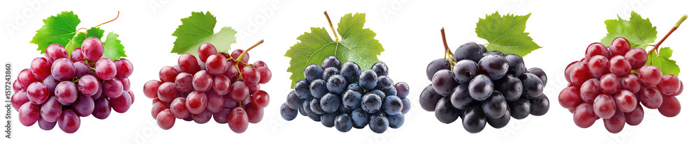 Fototapeta premium PNG Colorful grapes with green leaves transparent background.