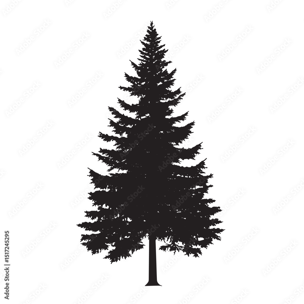 Fototapeta premium Natural Pine Silhouette Isolated Art