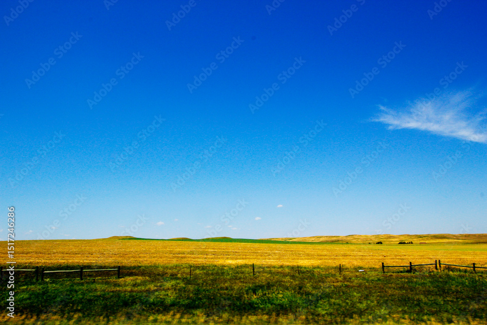Obraz premium The Great Plains of South Dakota in Summer