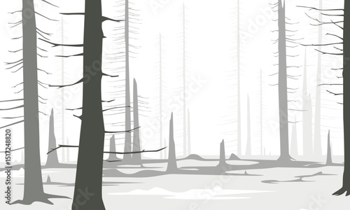 Vector Winter Forest Snow trees lanscape illustration drawing