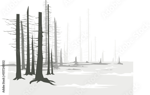 Vector Winter Forest Snow trees lanscape illustration drawing