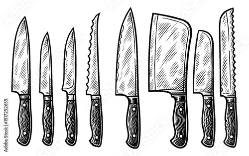 Set of Different Kitchen Knives Isolated on White Background in Detailed Engraving