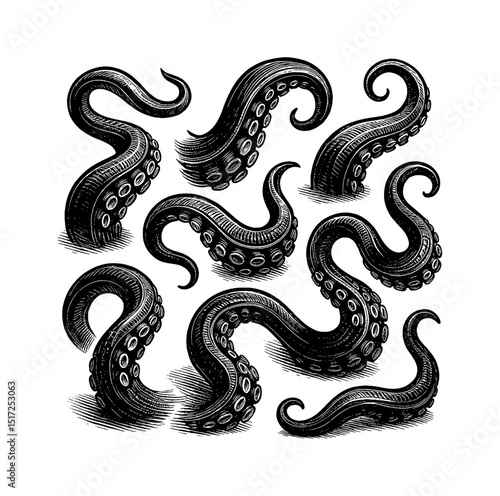 Engraved Octopus Tentacles Set Isolated on White Background, Detailed Vector Illustration