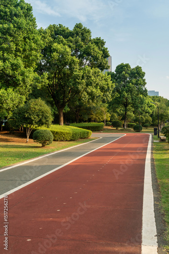 Wallpaper Mural New pathway and beautiful trees track for running or walking and cycling relax in the park Torontodigital.ca