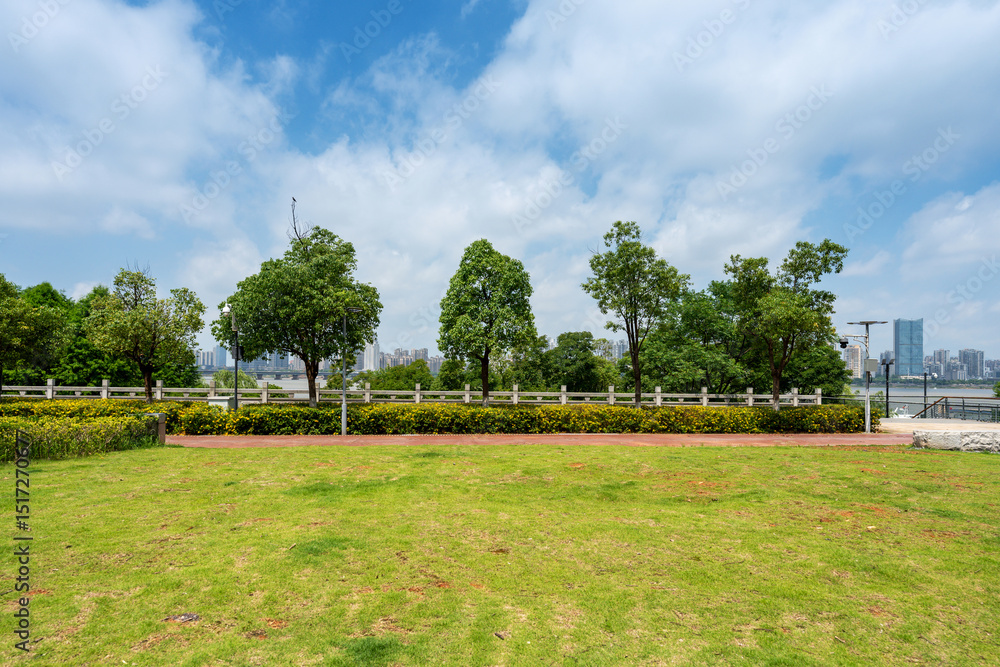 city park with modern building background in shanghai city park with modern building background in shanghai