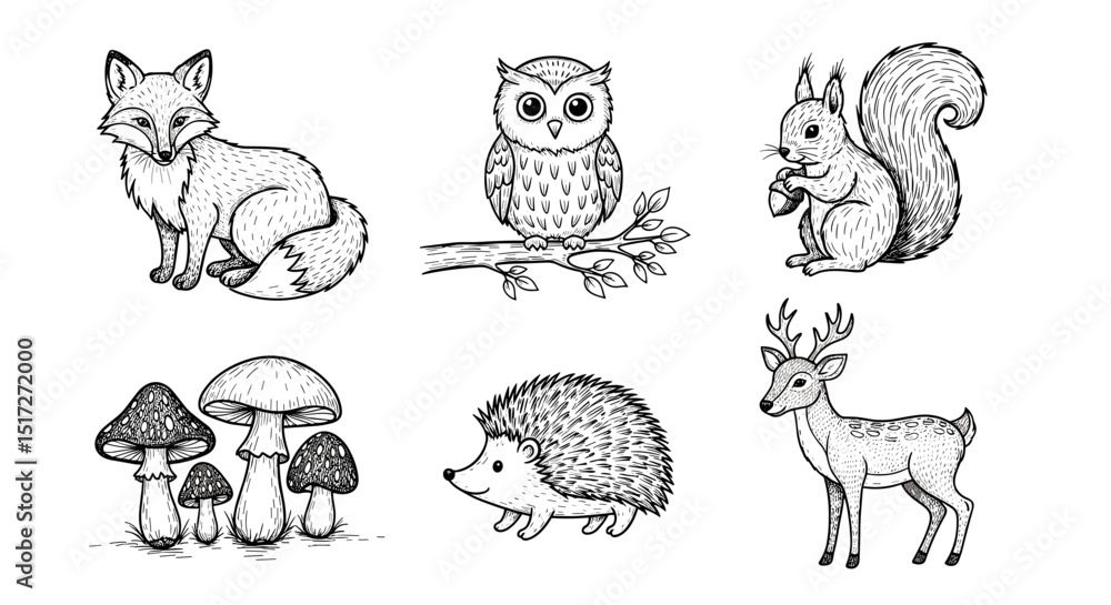 Obraz premium Illustration of a fox, owl, squirrel, mushrooms, hedgehog, and deer in black and white line art style
