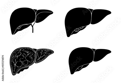 human liver silhouette set, isolated background