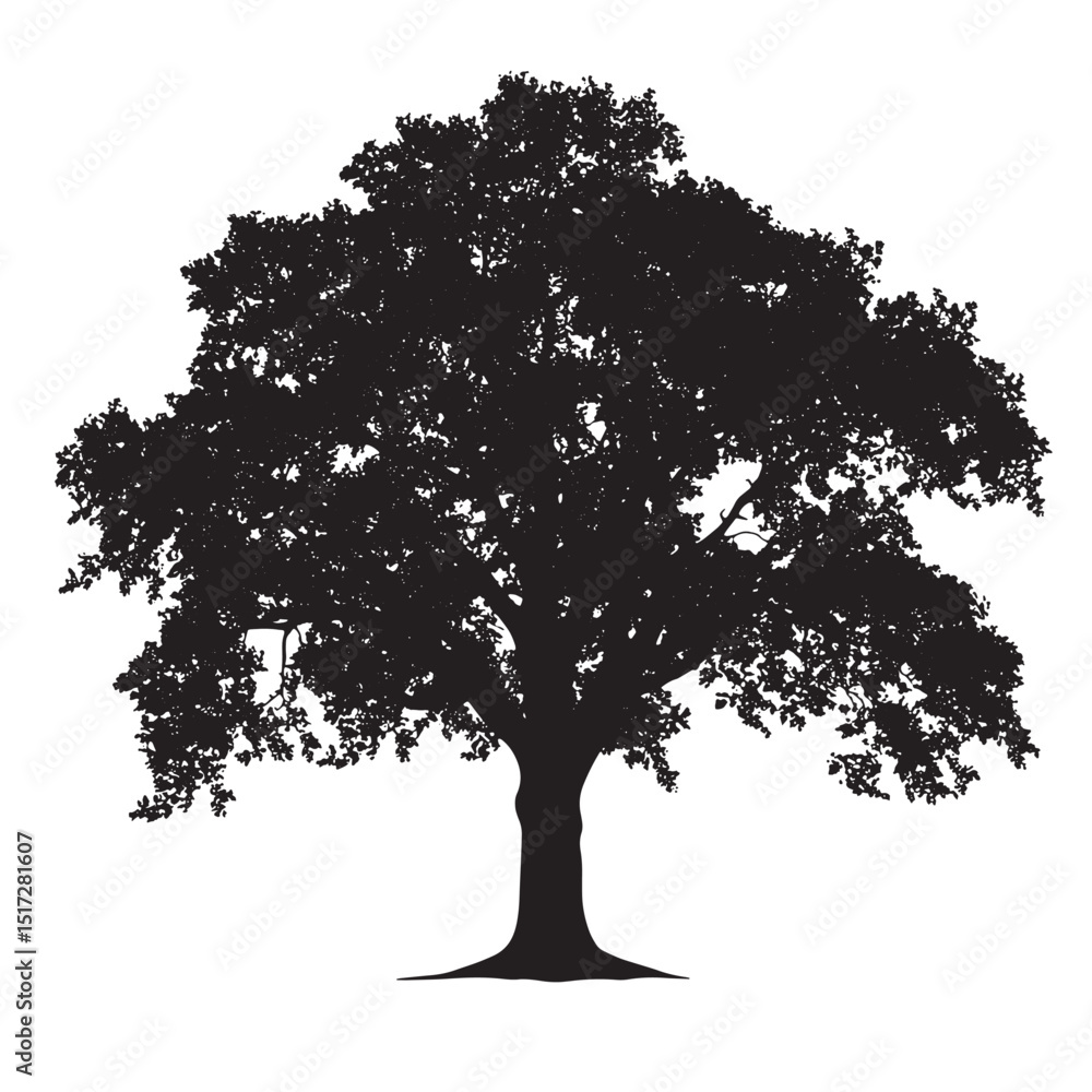 Fototapeta premium Leafy Oak Tree Isolated Clipart