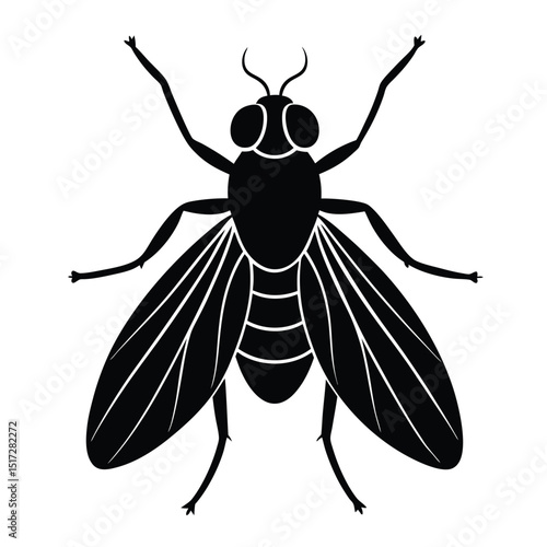 housefly silhouette icon vector on white background