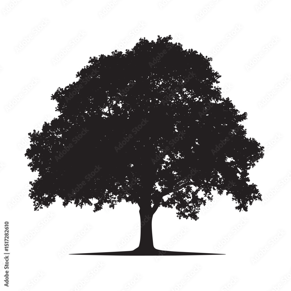 Fototapeta premium Majestic Oak Tree Black Silhouette