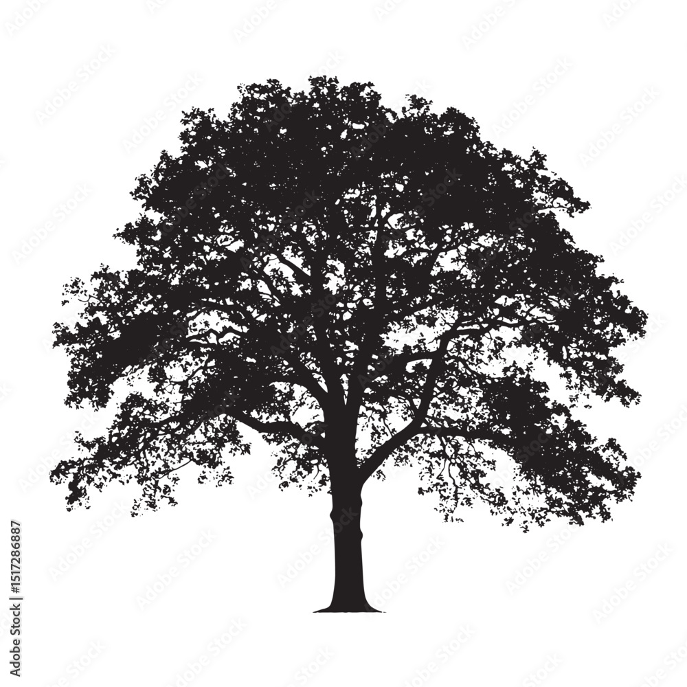 Fototapeta premium Outlined Oak Tree Isolated Vector