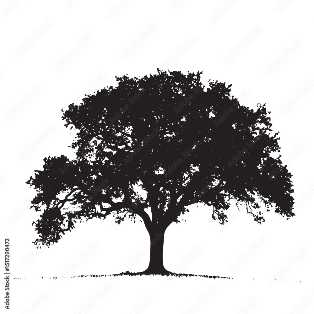 Fototapeta premium Sturdy Oak Tree Shape Silhouette