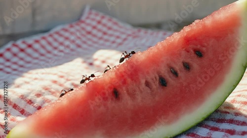 A juicy watermelon slice glistens under the sun on a picnic blanket, with ants nearby and the camera slowly zooming in 