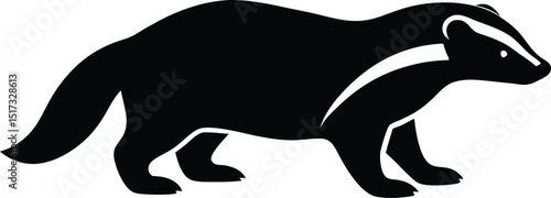 Honey badger fearless mammal known for aggression silhouette vector 