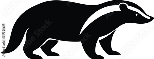 Honey badger fearless mammal known for aggression silhouette vector 