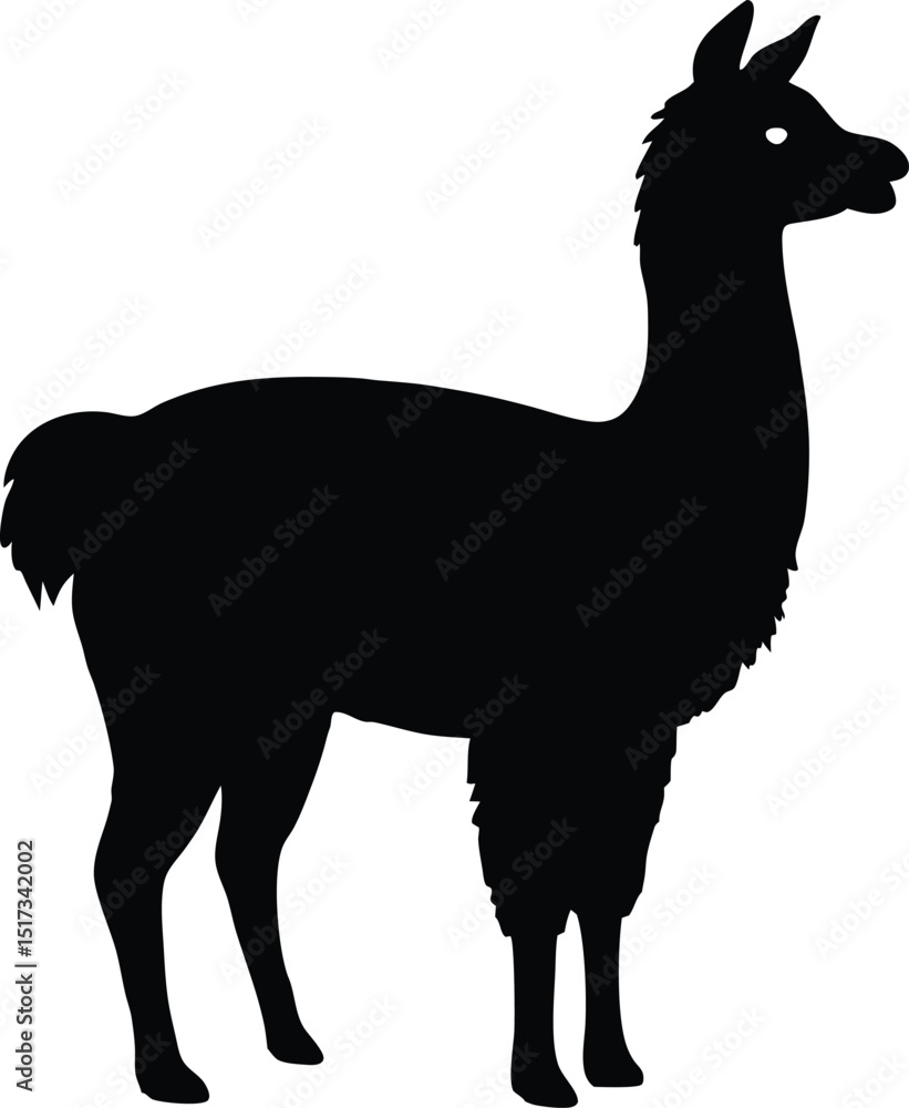 Fototapeta premium Simple and unobtrusive Llama vector silhouette, vector illustration of a silhouette of a Llama design