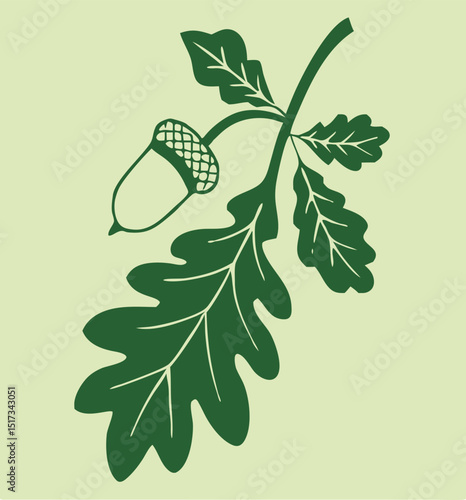 Green vector illustration of an oak leaf branch with acorn on a light green background