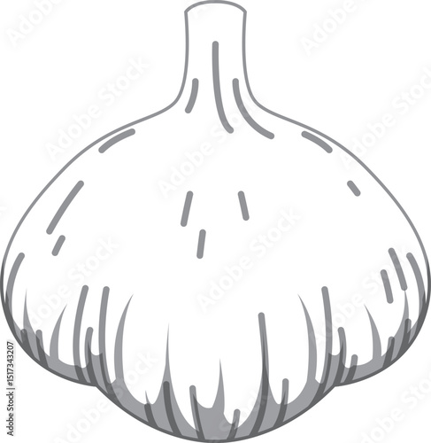 リアルな影付きにんにくのベクターイラスト