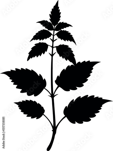 Nettle Plant Silhouette Line Art Vector Illustration