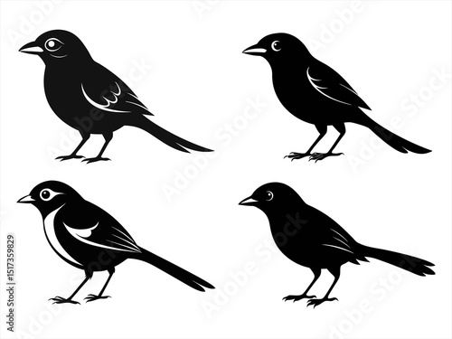 Wallpaper Mural shrike sihouette black vector bundle Torontodigital.ca