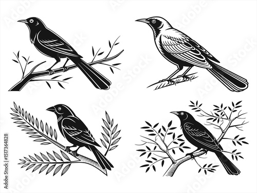 weaverbird silhoette black vector bundle