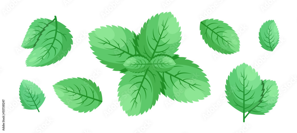 Minimalistic Mint Leaves or Mint Leaf Peppermint, Mint Flavour or Mint Logo Herb Nature Botanical in Vector Illustration Minimalistic Mint Leaves or Mint Leaf Peppermint, Mint Flavour or Mint Logo Herb Nature Botanical in Vector Illustration