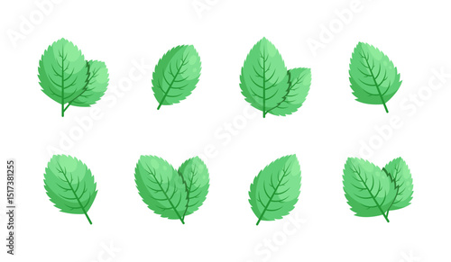 Minimalistic Mint Leaves or Mint Leaf Peppermint, Mint Flavour or Mint Logo Herb Nature Botanical in Vector Illustration