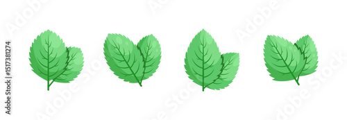 Minimalistic Mint Leaves or Mint Leaf Peppermint, Mint Flavour or Mint Logo Herb Nature Botanical in Vector Illustration