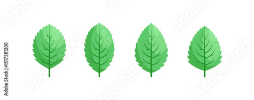 Minimalistic Mint Leaves or Mint Leaf Peppermint, Mint Flavour or Mint Logo Herb Nature Botanical in Vector Illustration